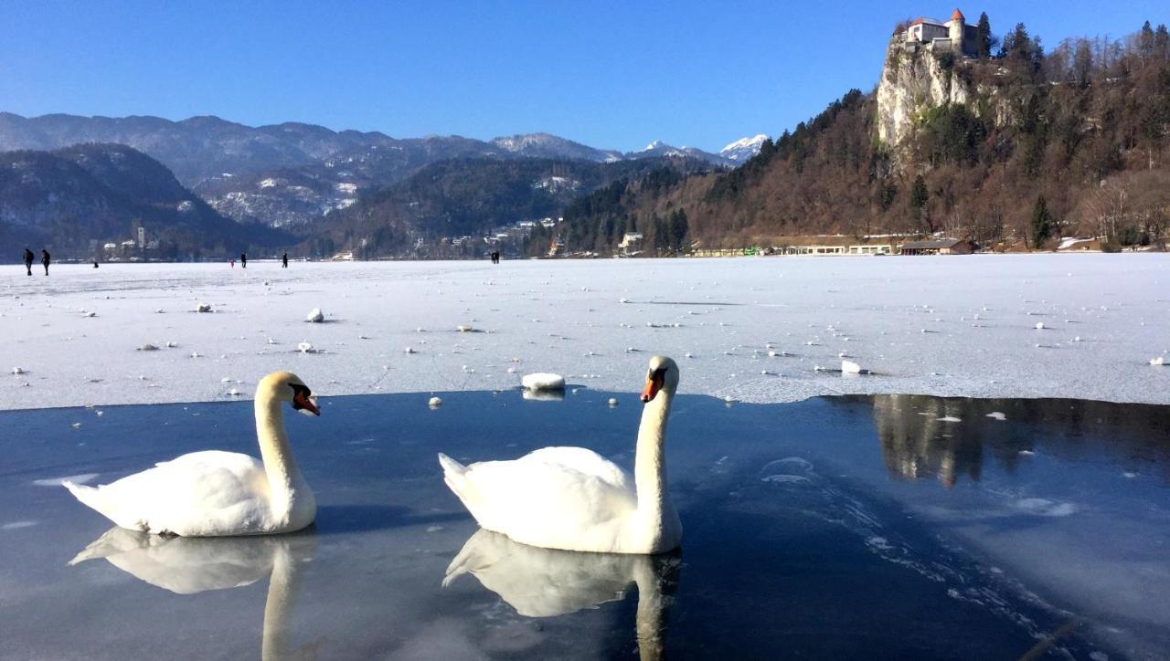 Sunset Bled Apartment ภายนอก รูปภาพ